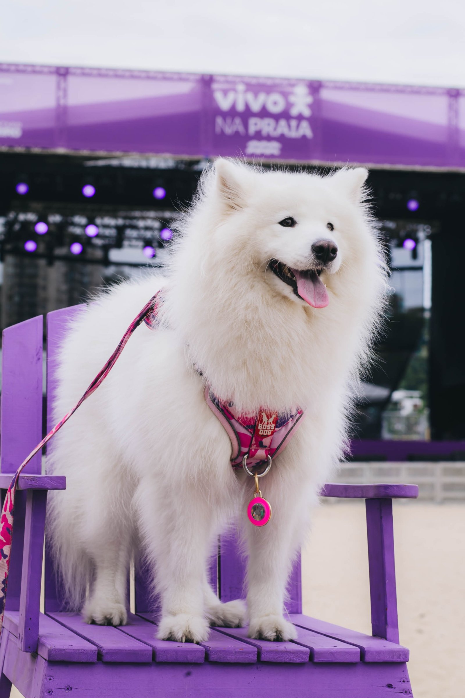 WhatsApp Image 2025-11-16 at 13.30.58