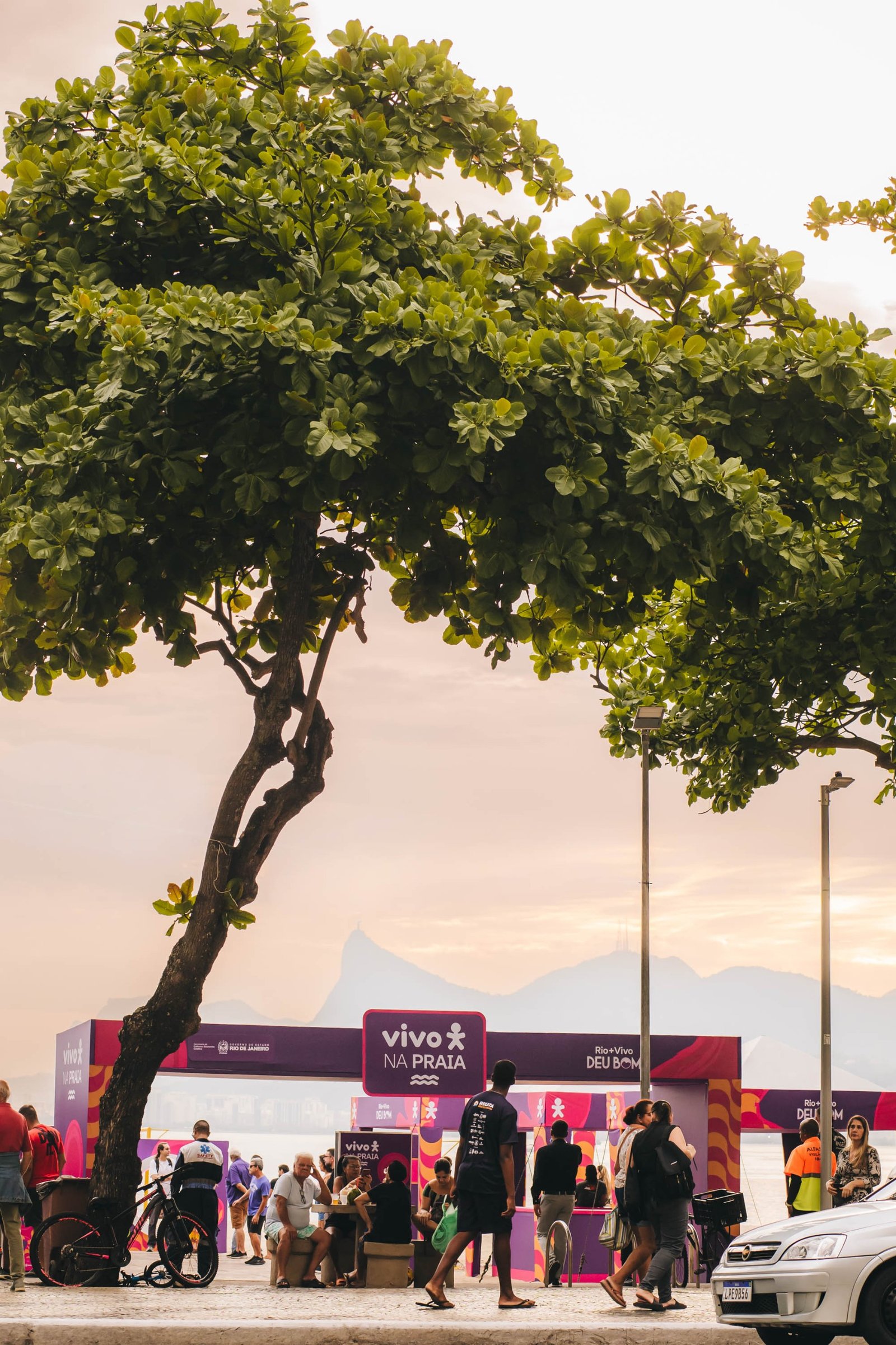 WhatsApp Image 2025-11-16 at 18.16.55